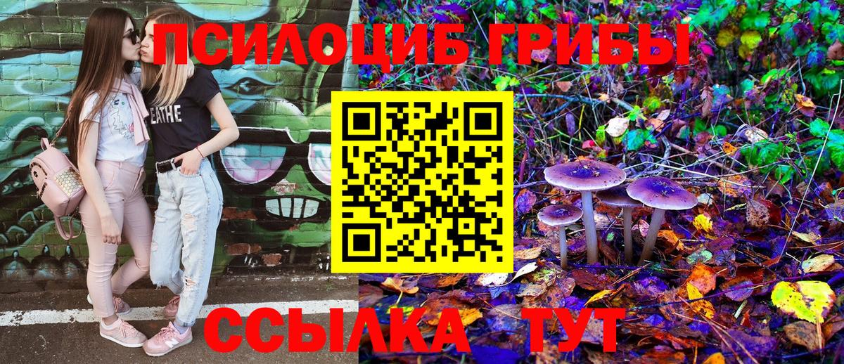 Псилоцибиновые грибы MAGIC MUSHROOMS  сколько стоит  Кингисепп  Вход с VPN 
